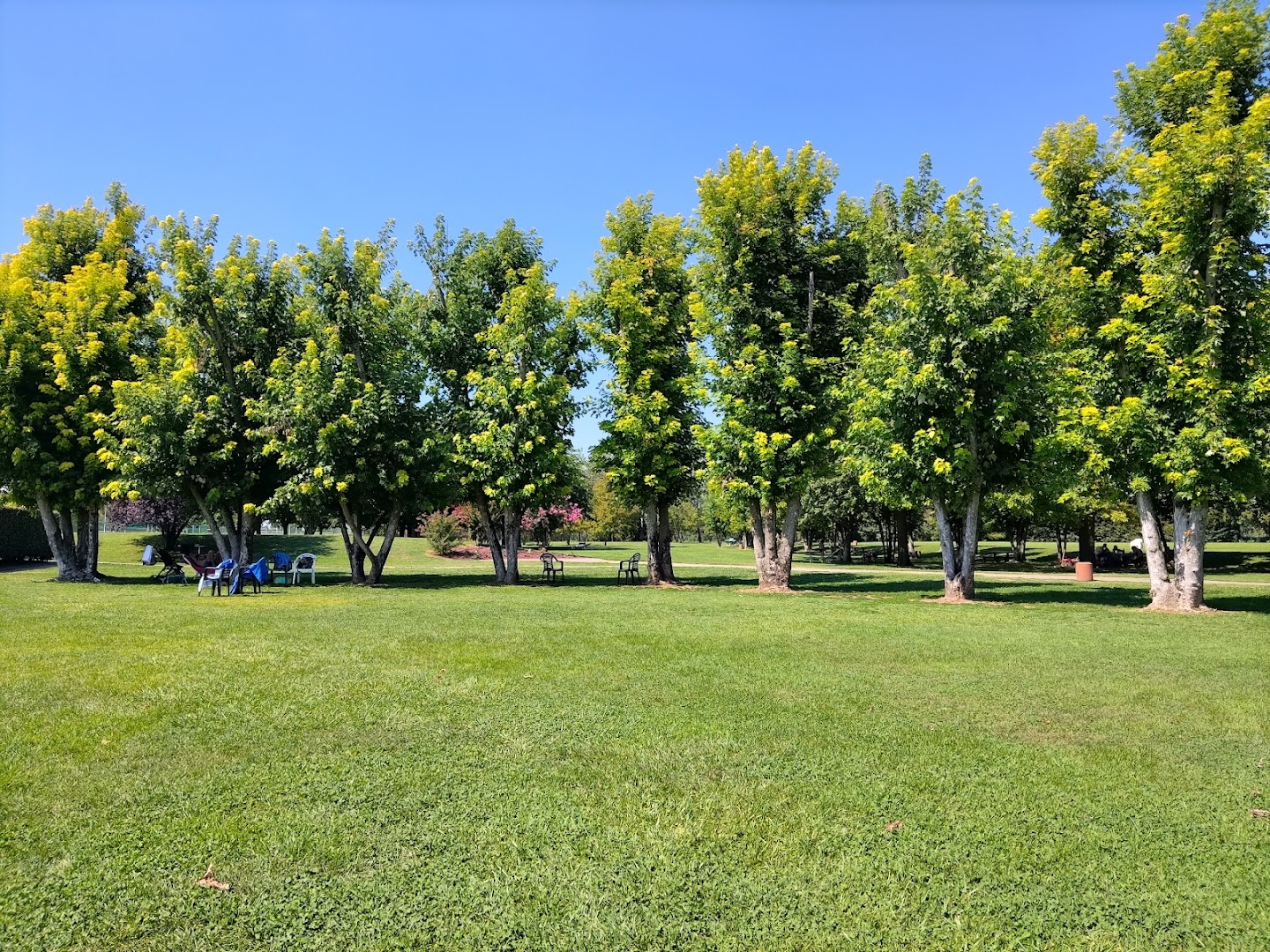 Circolo Quercioli, Cavriago