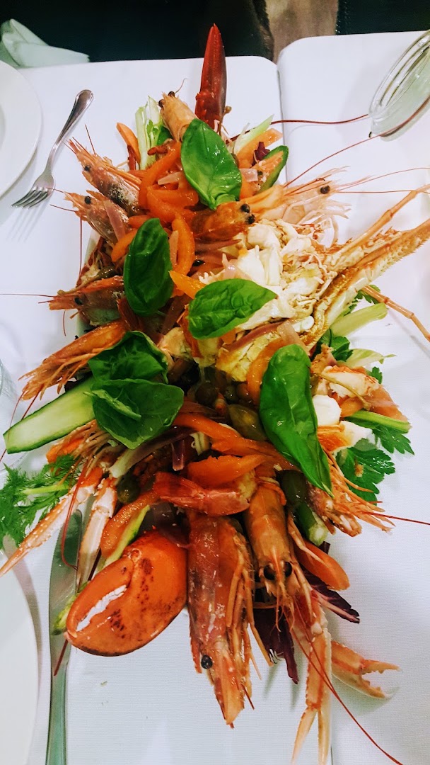 Circolo Tennis Dario Zavaglia