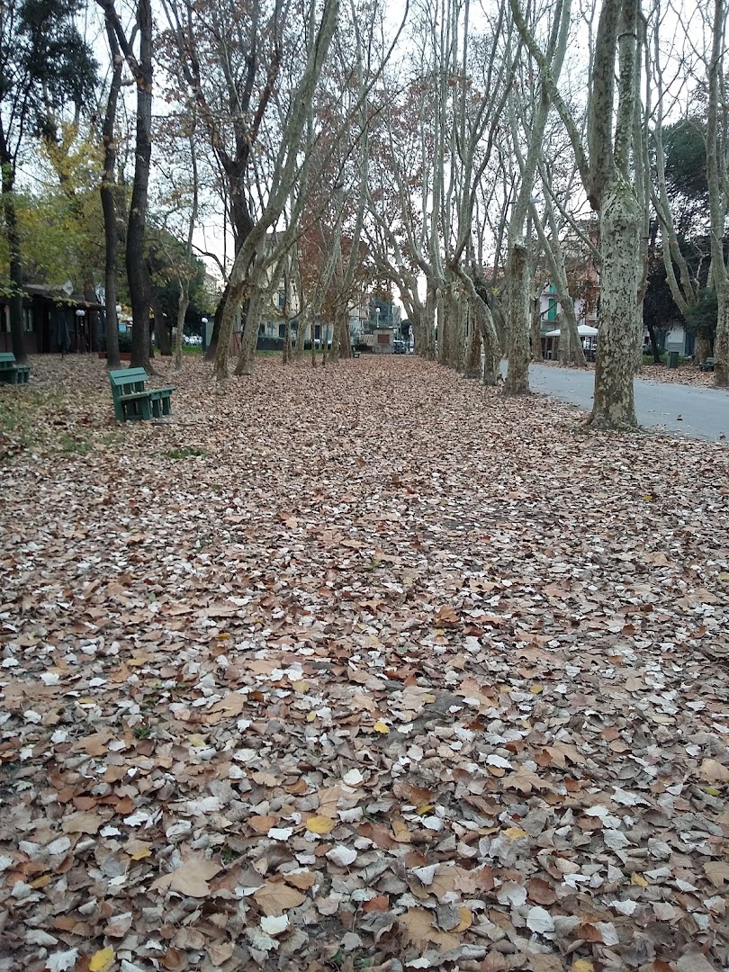 Circolo Tennis Viareggio