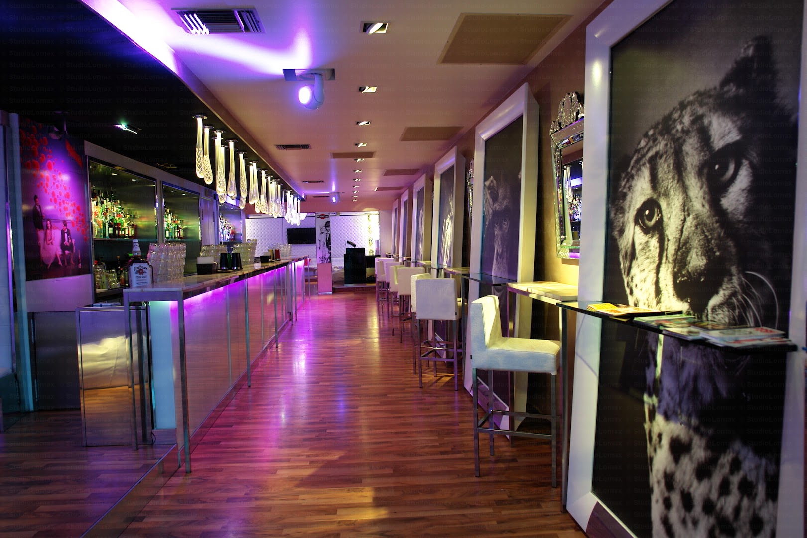Circus Cafè