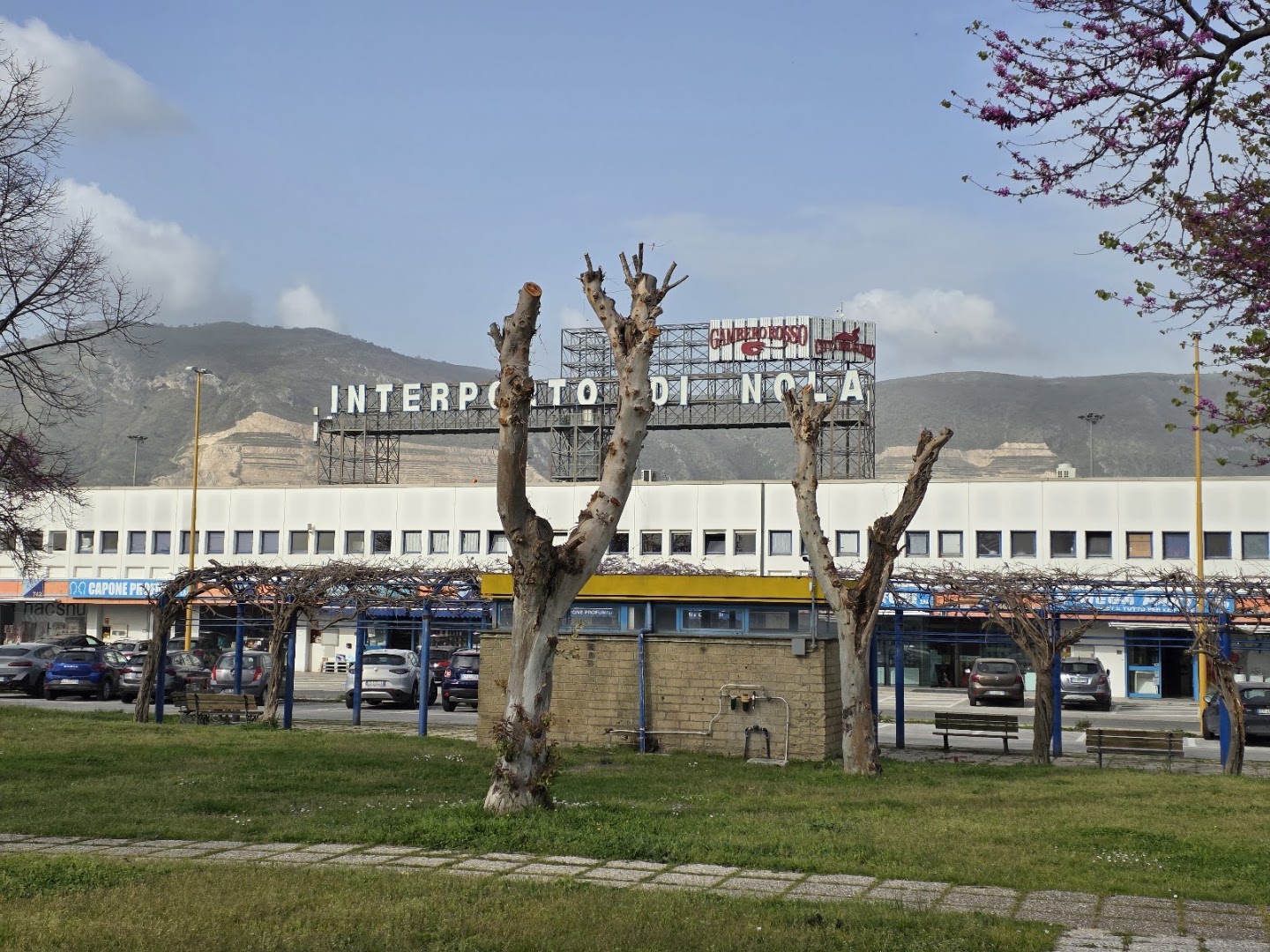 CIS di Nola La Città degli Affari