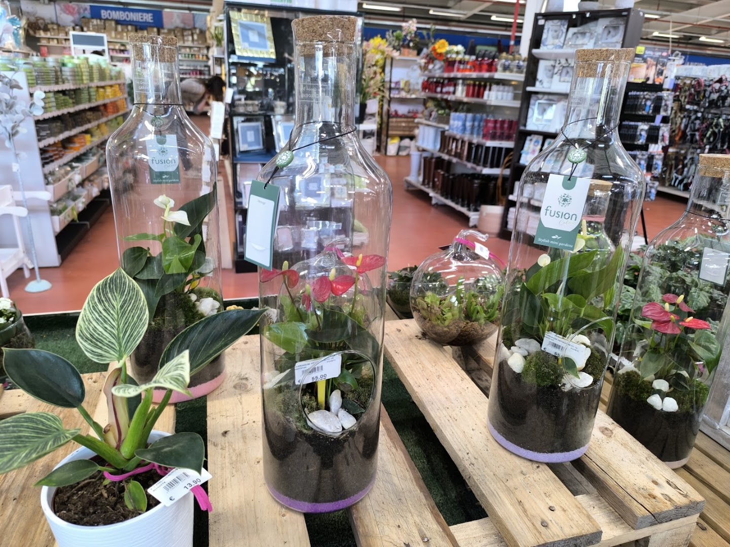 Città Flora Garden Center