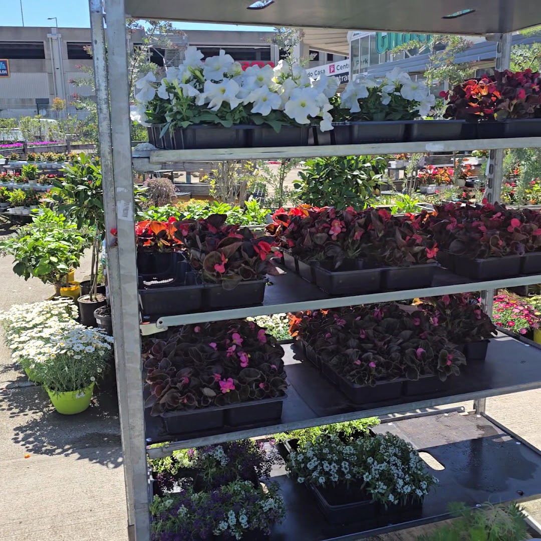 Città Flora Garden Center