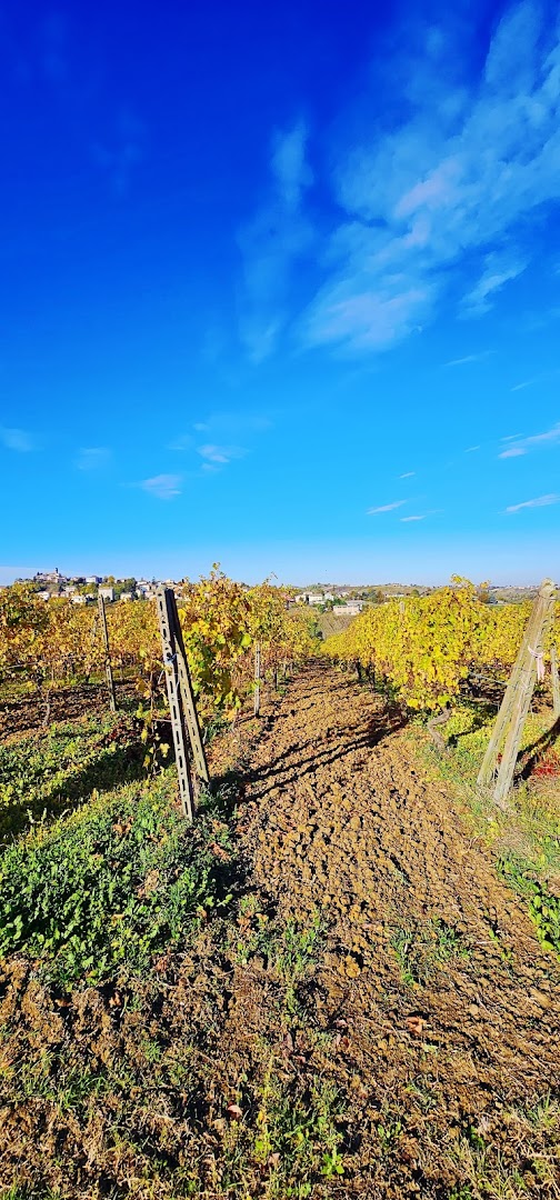 Civardi Oreste e Daniele Società Agricola e Produzione Vini Doc