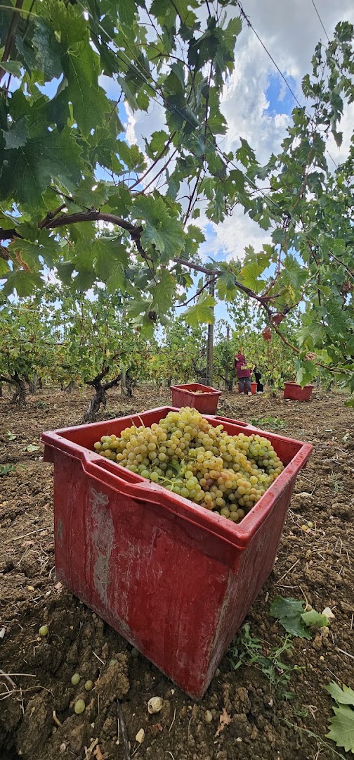 Civardi Oreste e Daniele Società Agricola e Produzione Vini Doc
