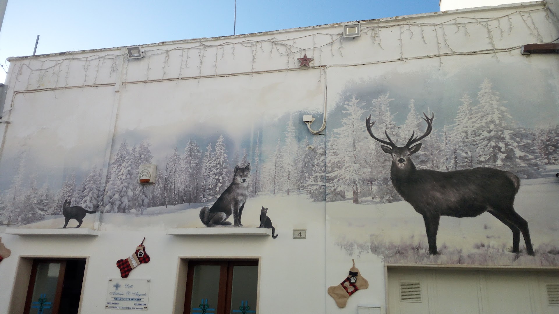 Clinica Veterinaria del Salento