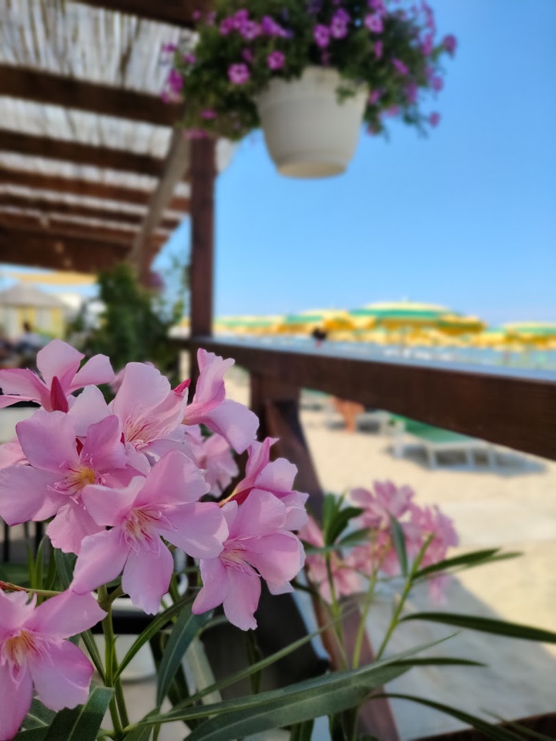 Clorofilla Oasi Selvaggia, Pesaro