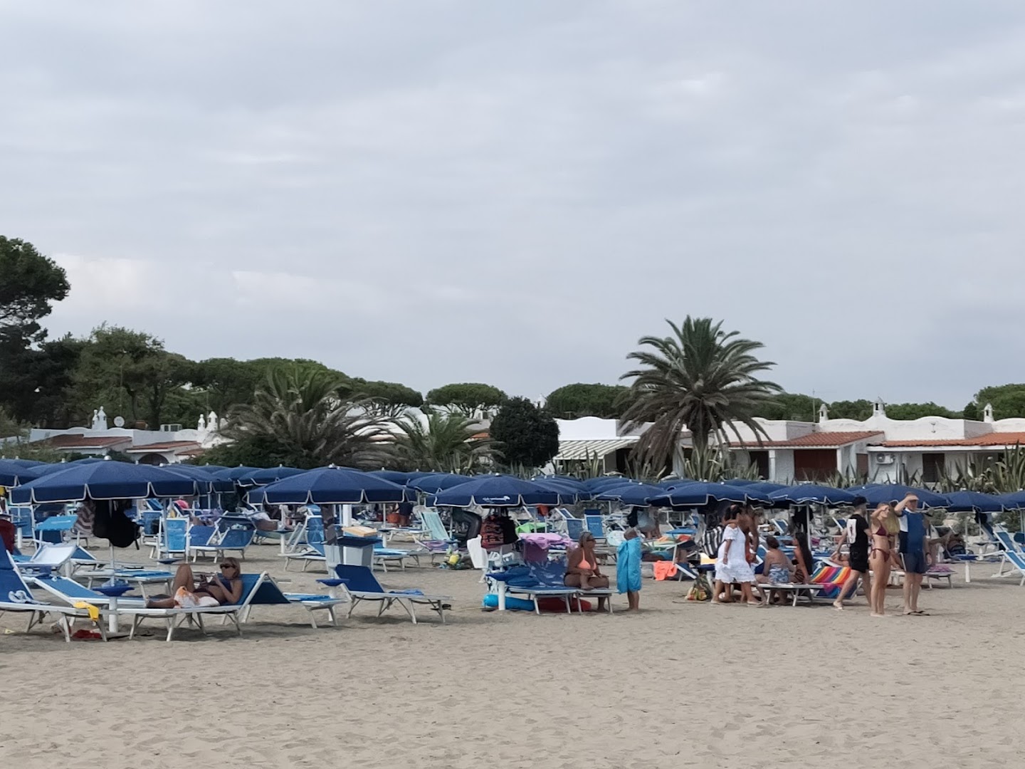 Club Verdemare