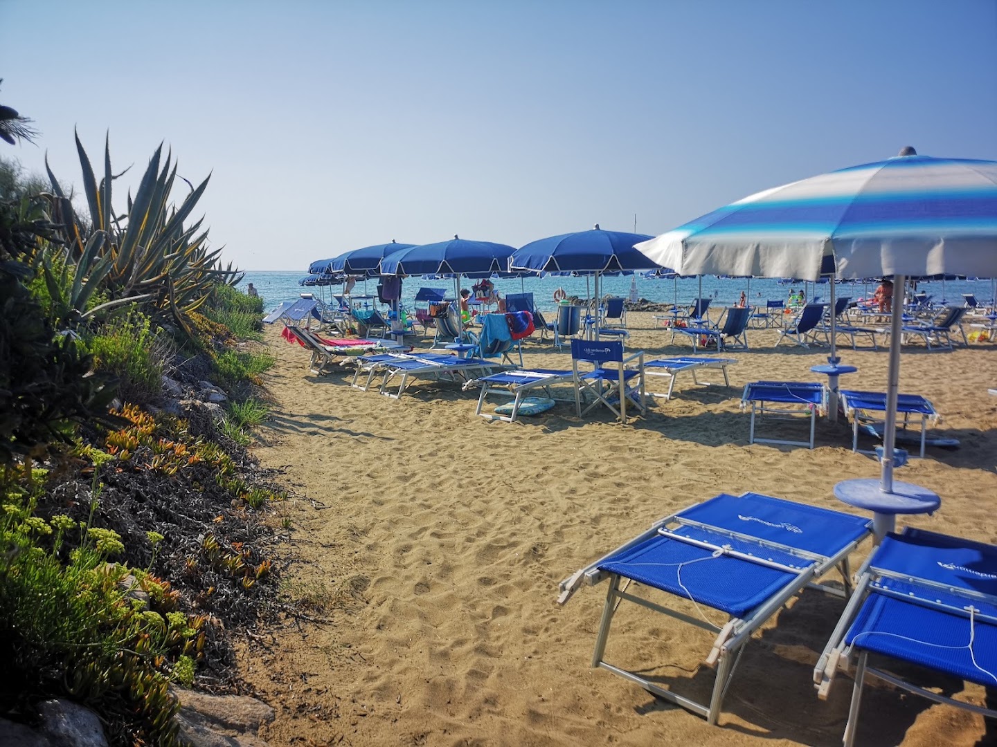 Club Verdemare