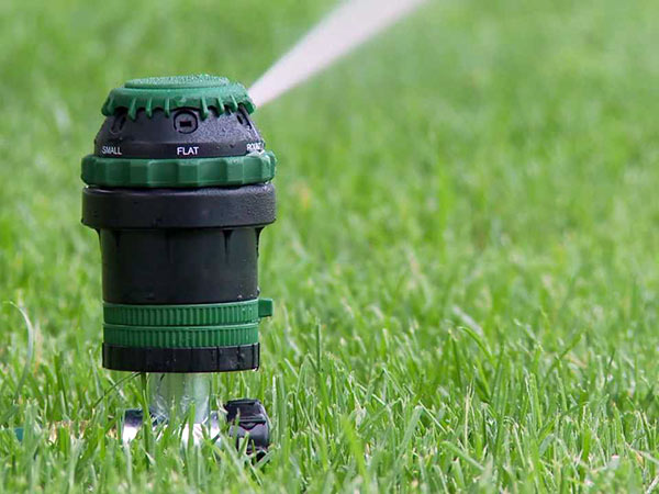CO.M.AG. Srl | Fornitura di macchine agricole, per il giardinaggio e attrezzature per il verde | Lugo | Ravenna, Lugo