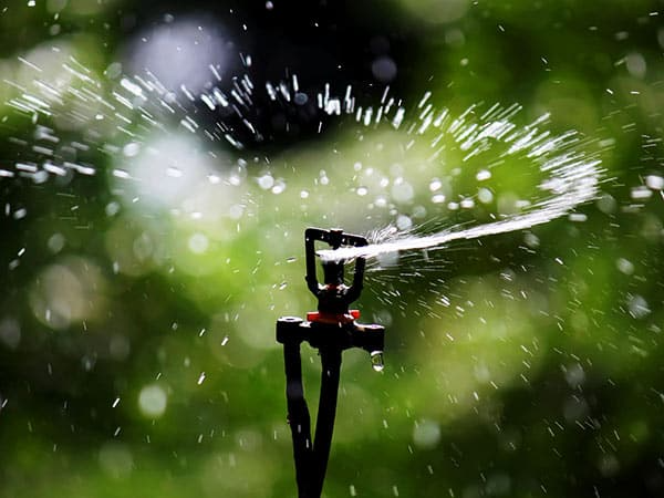 CO.M.AG. Srl | Fornitura di macchine agricole, per il giardinaggio e attrezzature per il verde | Lugo | Ravenna