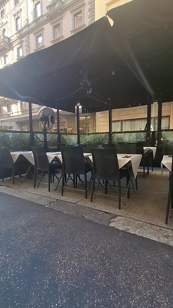 Cocciuto