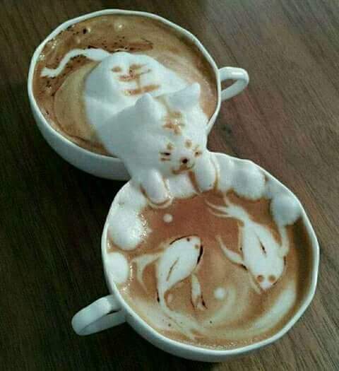 Coffee Black...bar caffetteria