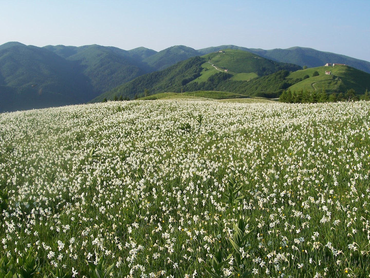 Col D'Artent