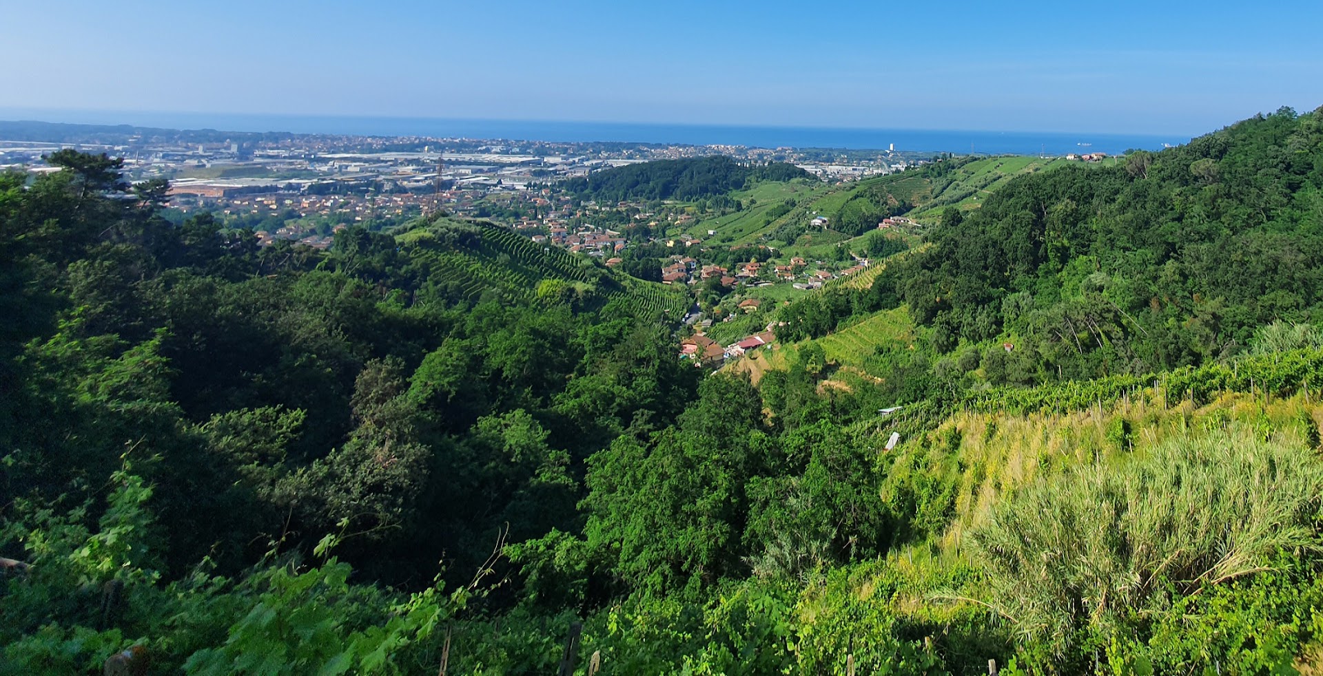 Colline del Candia, Massa