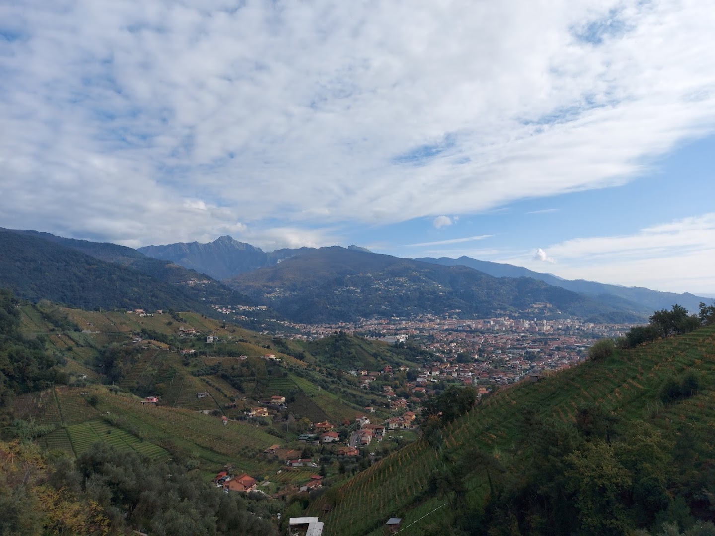 Colline del Candia