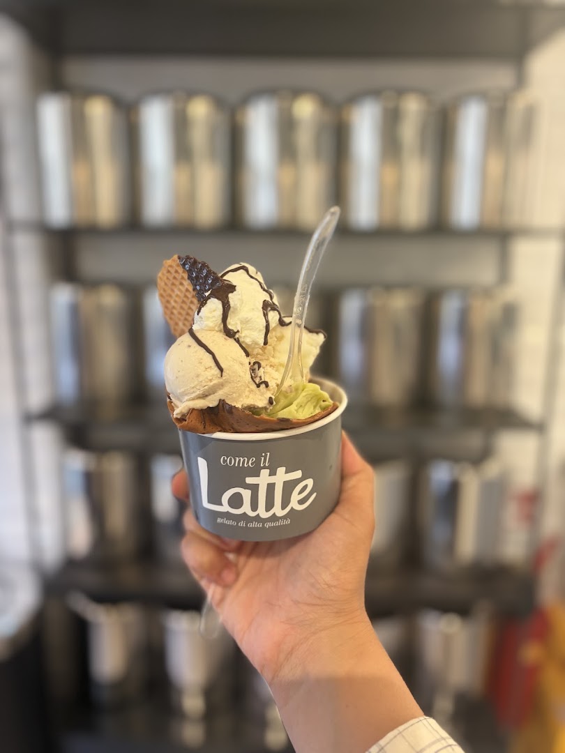 Come il Latte