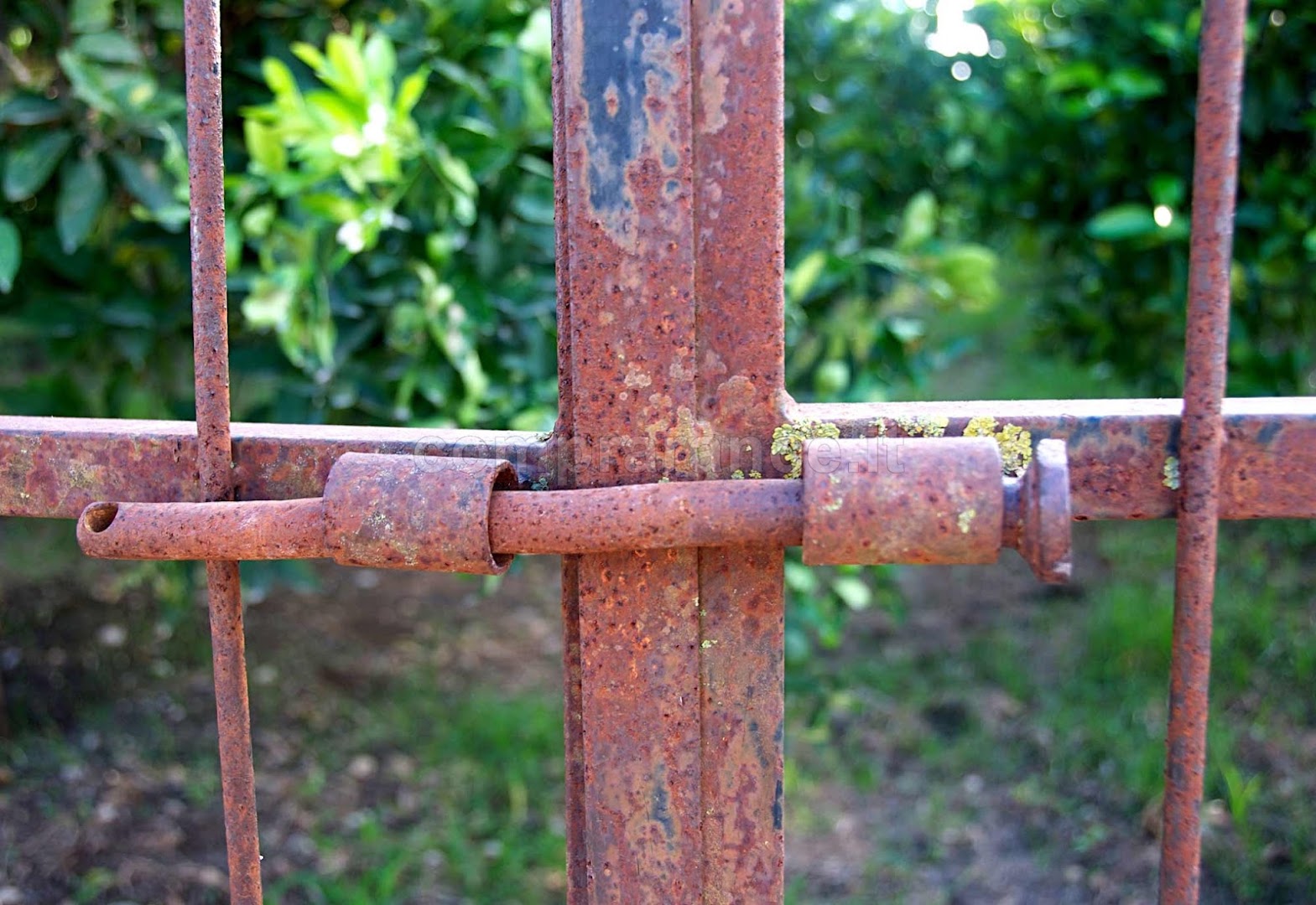 Comprarance.it - Vendita Online di Arance e Agrumi di Ribera e altri Prodotti Tipici Siciliani