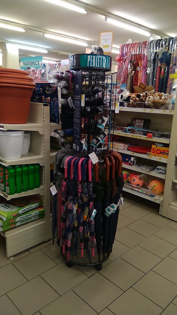 Conad City - Supermercato, Telve