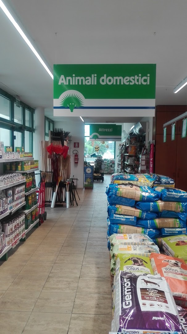 Consorzi Agrari D' Italia SpA - Ag. di CONSELVE