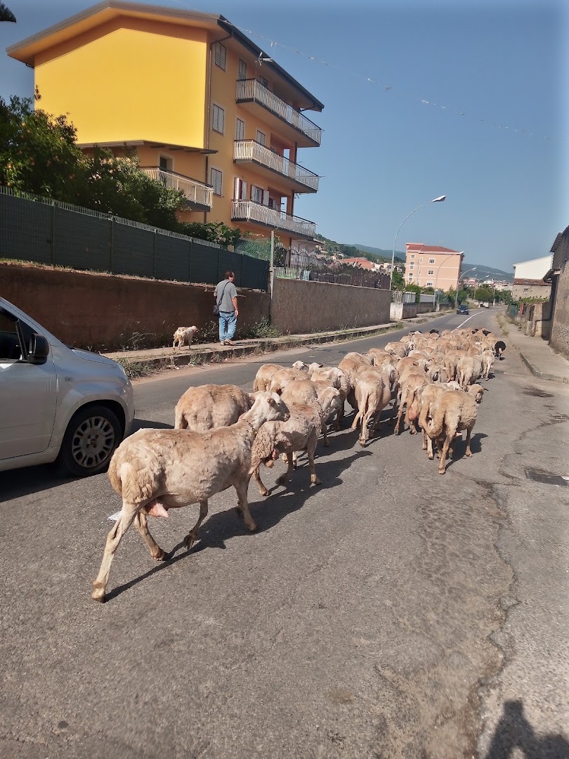 Consorzio Agrario Olearia Lametina Vescio, Lamezia Terme