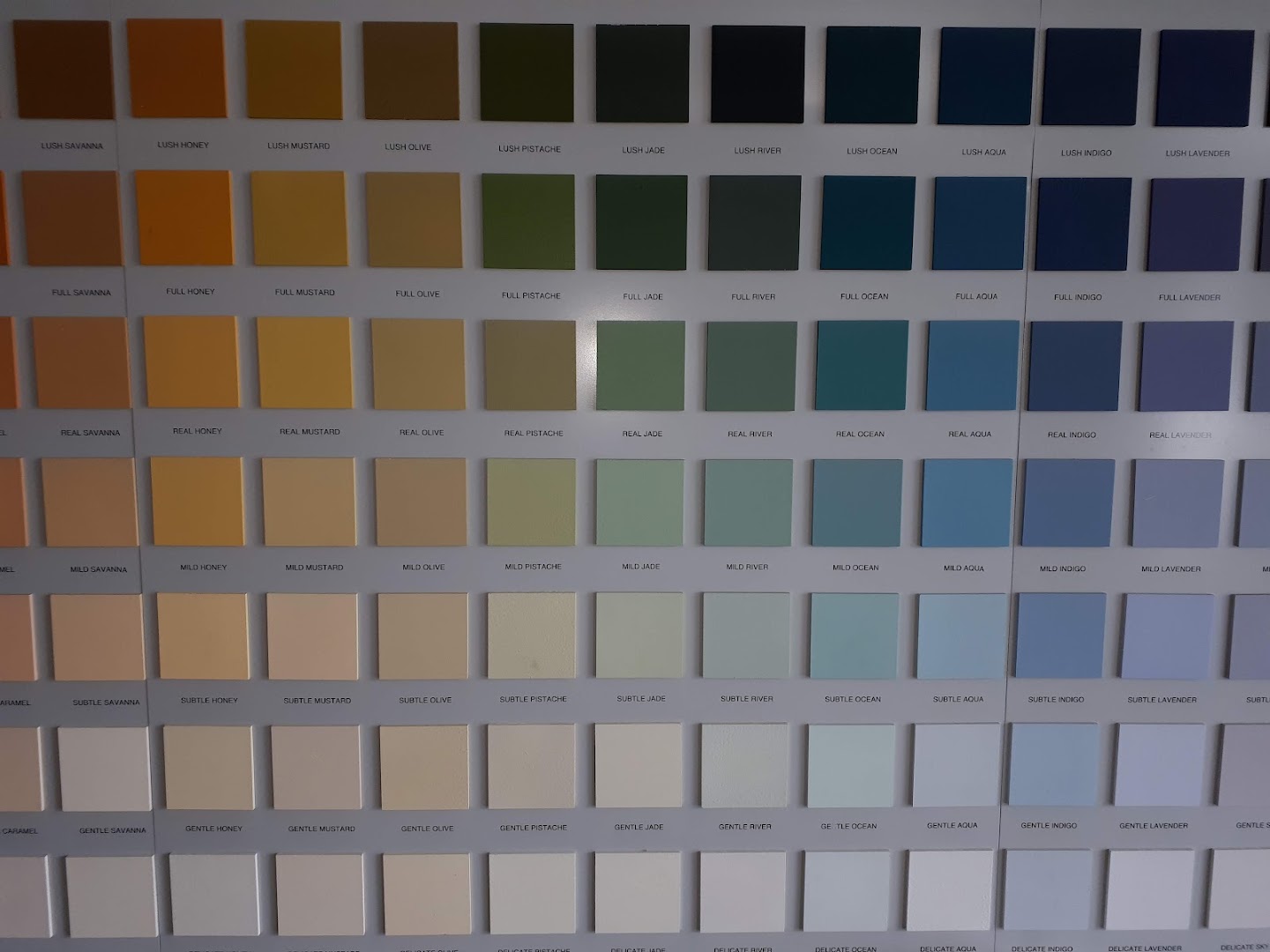 Conte Colori s.r.l., Udine