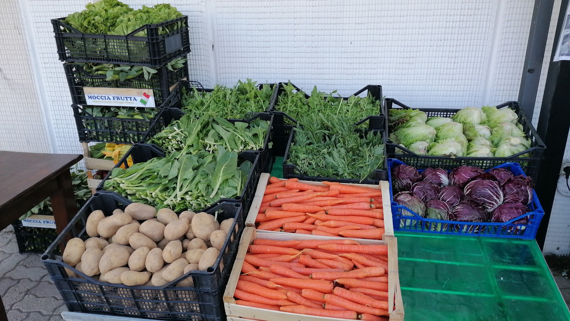 Coop. All. Best. Testa di Lepre (Aurelia)