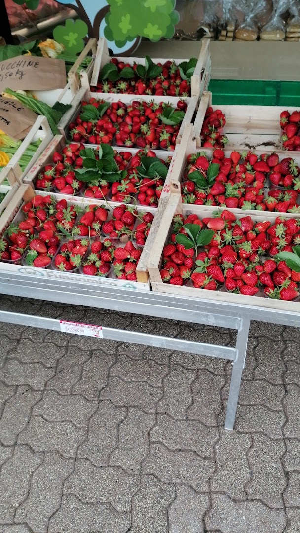 Coop. All. Best. Testa di Lepre (Aurelia)