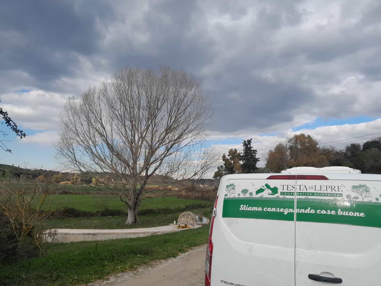 Coop. All. Best. Testa di Lepre (Aurelia)