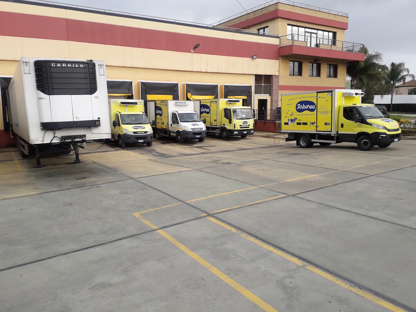 Cooperativa Assegnatari Associati Arborea