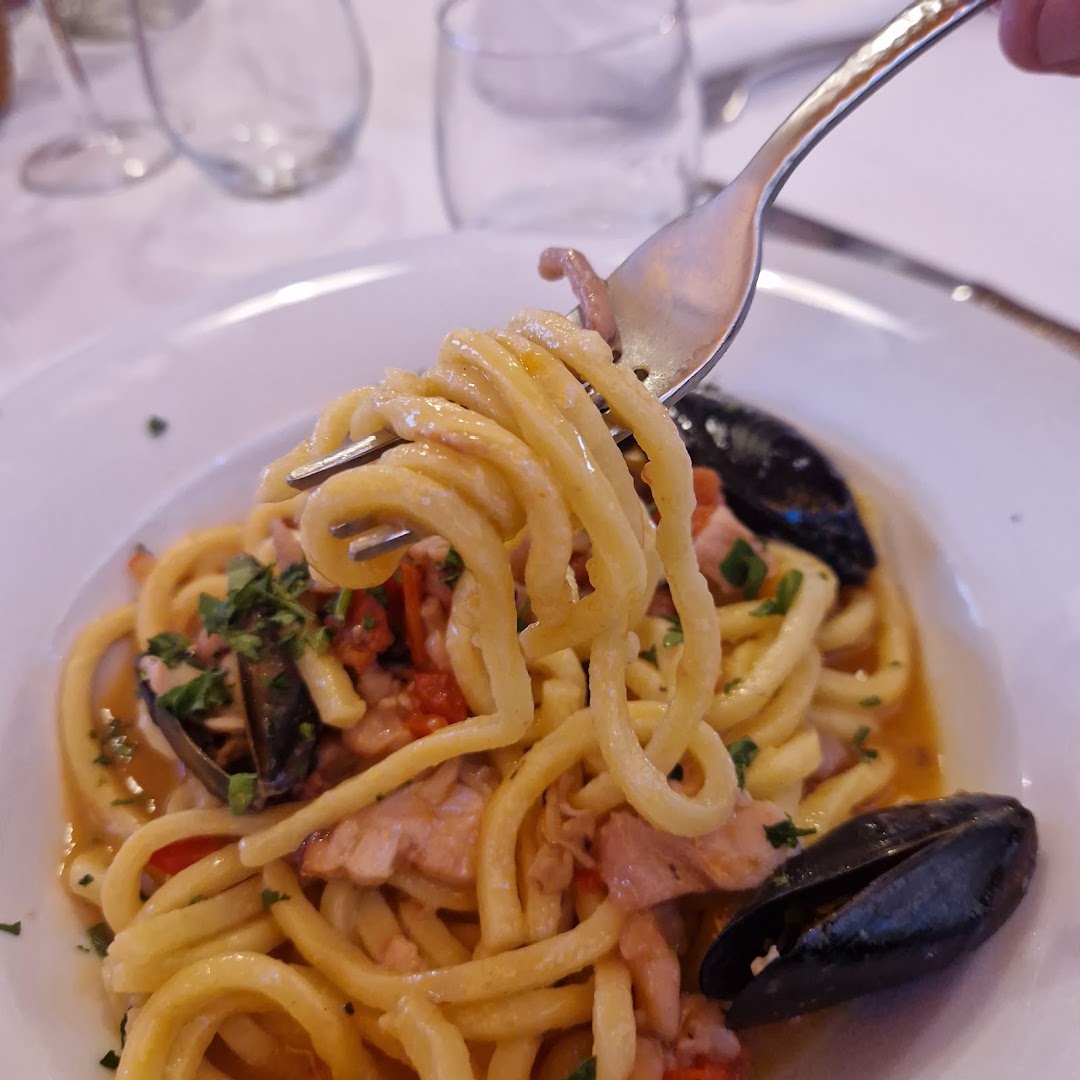 Coppa Cicuta