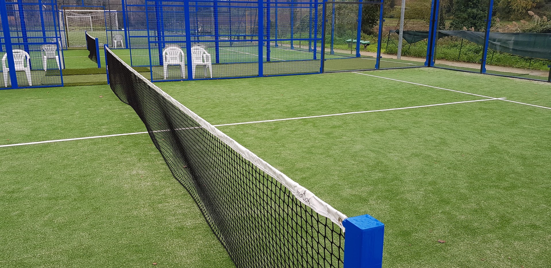 Coppa d'oro Sport Club