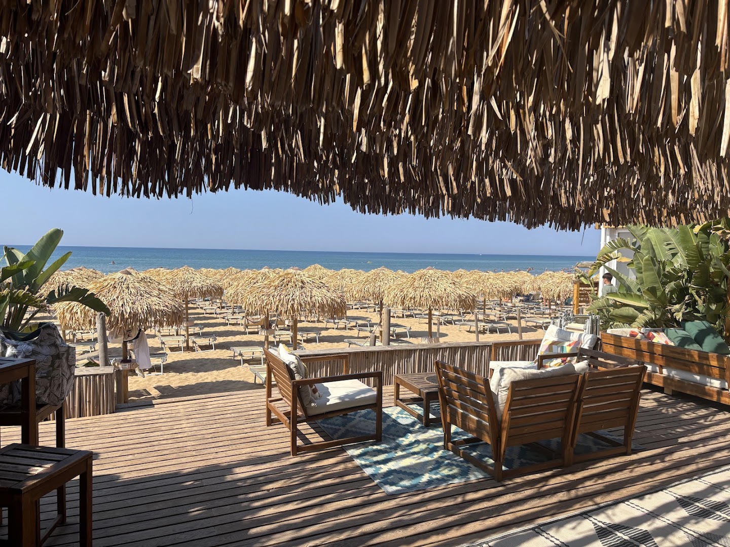 Corallo-cucina sul mare