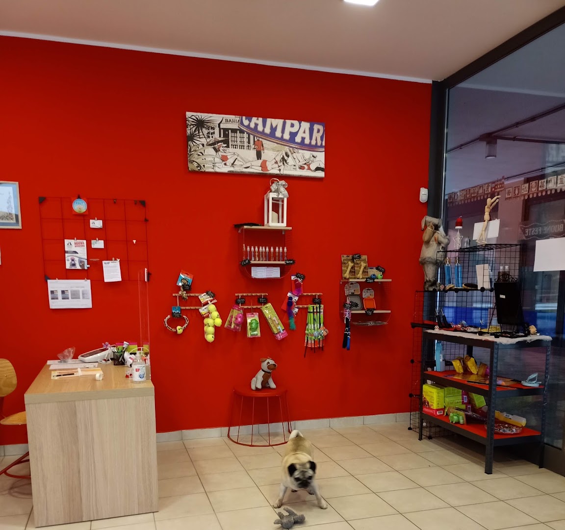 Corte Zappello