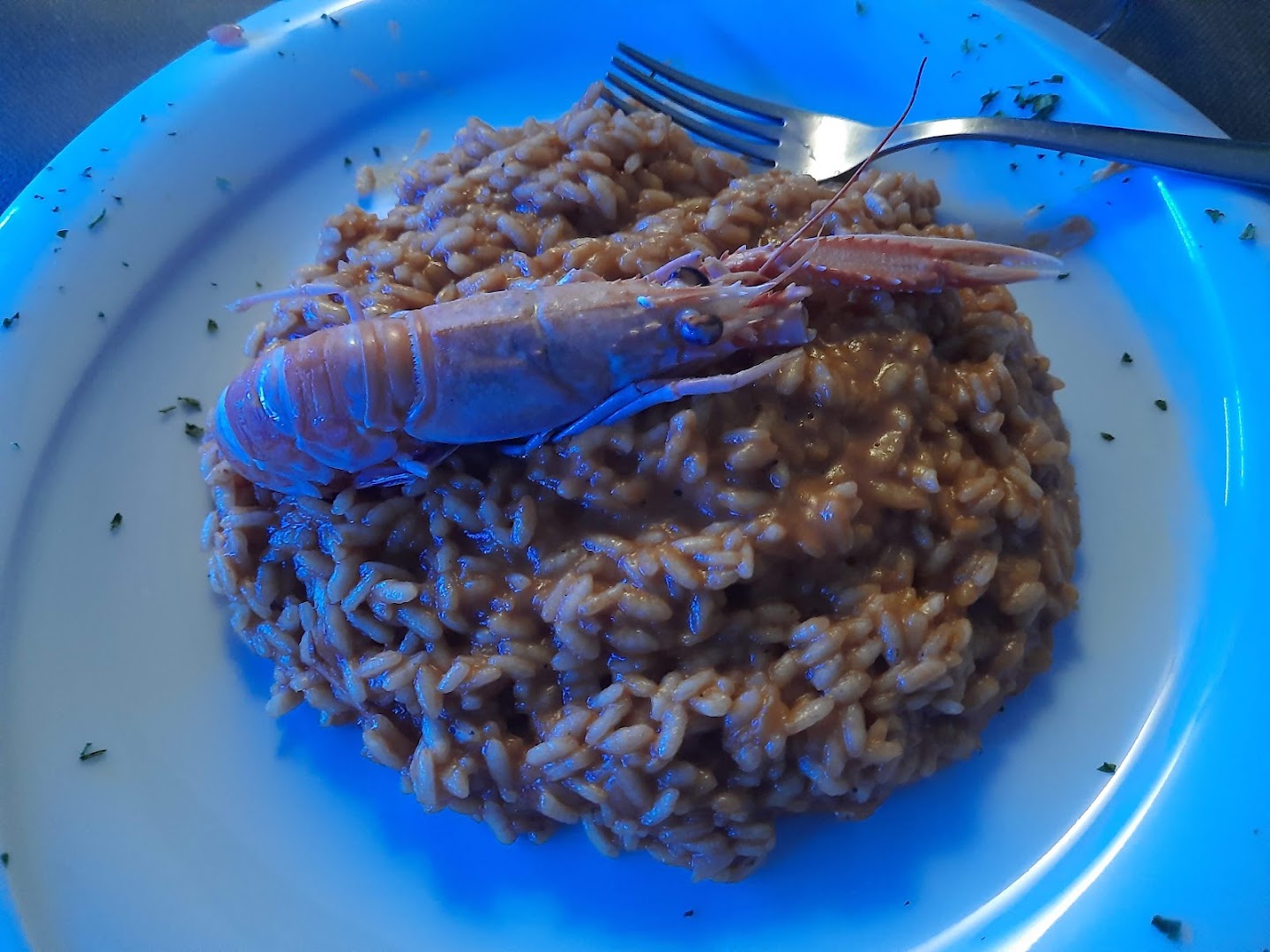 Cotta e Gustata