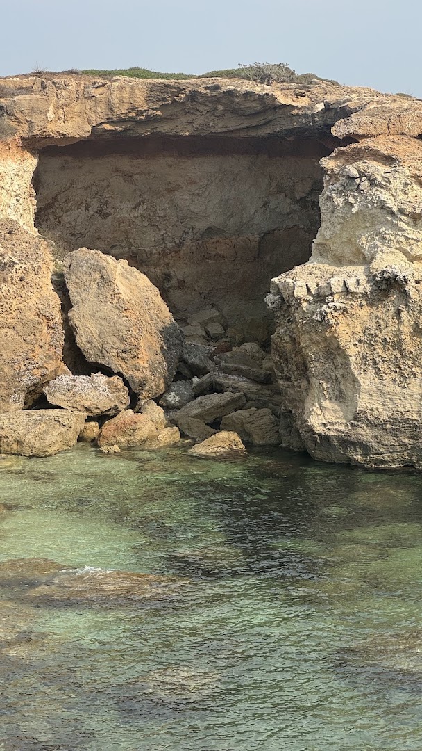 Crai Riola Sardo