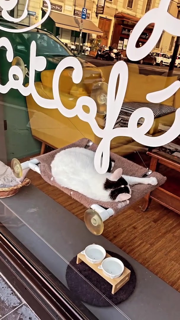 Crazy Cat Café