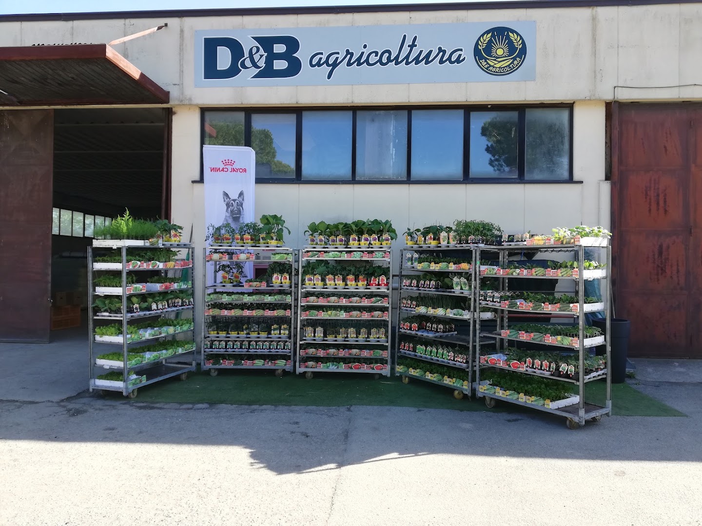 D.B. Agricoltura Di Dini Diego