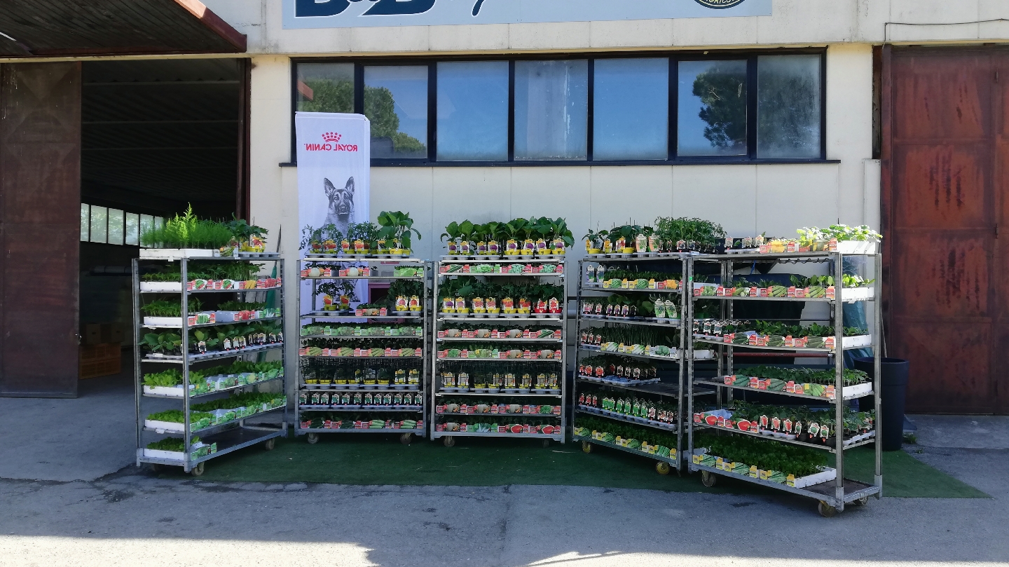 D.B. Agricoltura Di Dini Diego