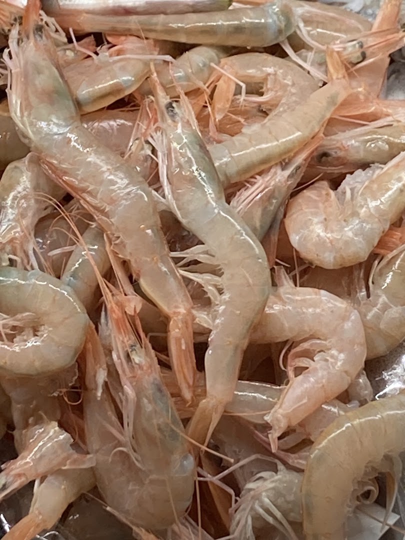 Da Ceko Il Pescatore