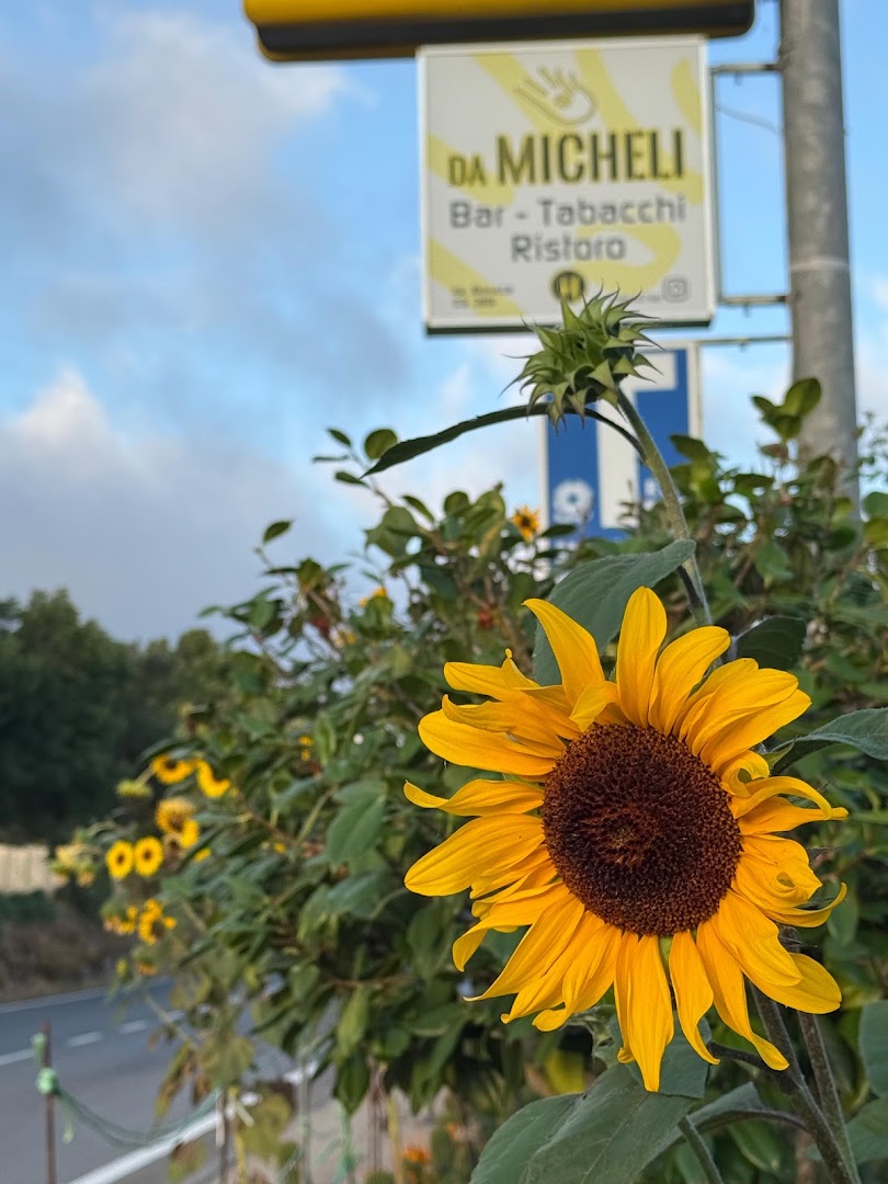 Da Micheli