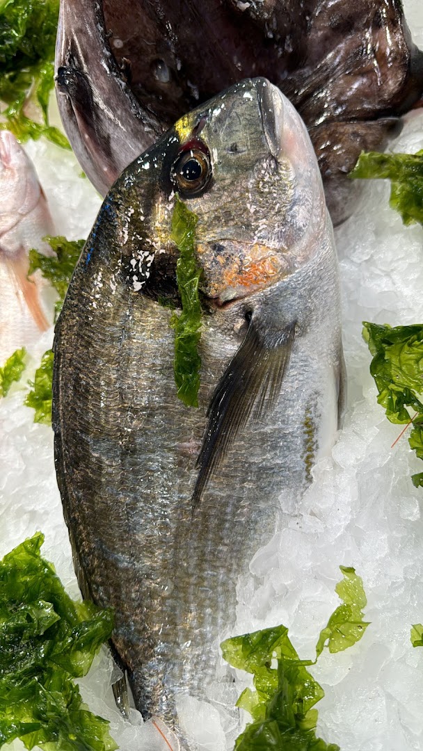 Da Pasquale pescheria