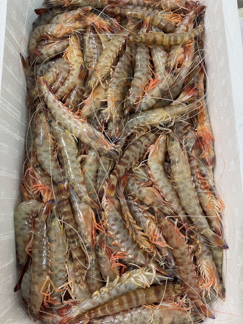 Da Pasquale pescheria