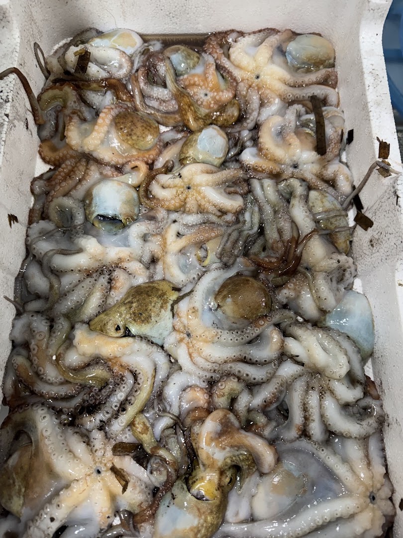 Da Pasquale pescheria