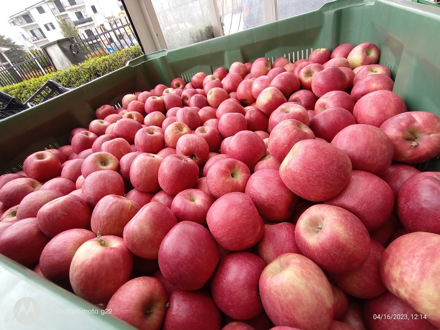 Da Peppe, Il Buon Gusto Della Frutta.