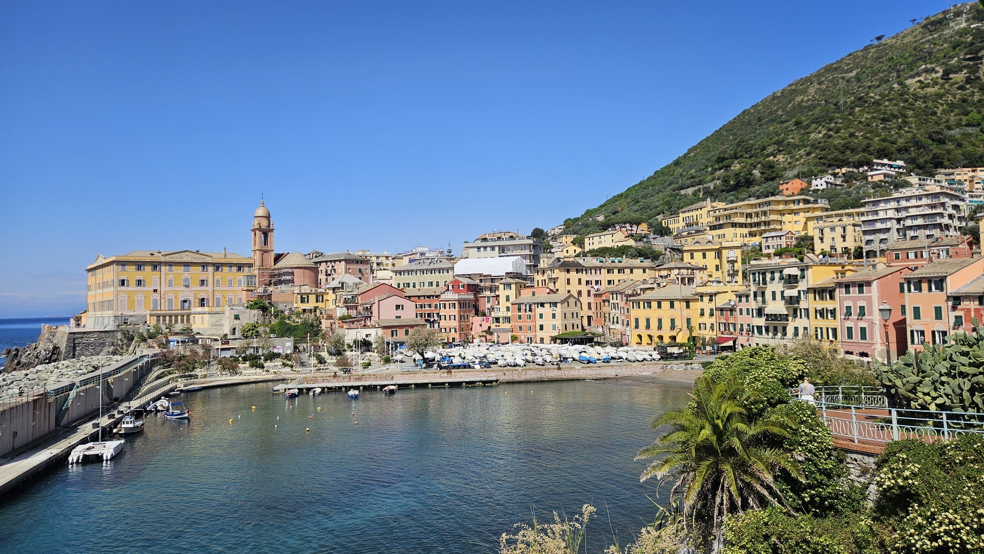Da Pino, Genova