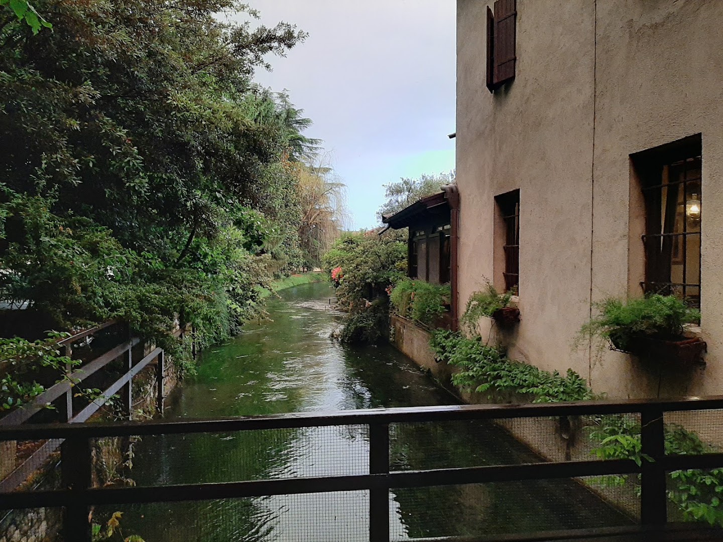 Da Rochet, Reana del Rojale