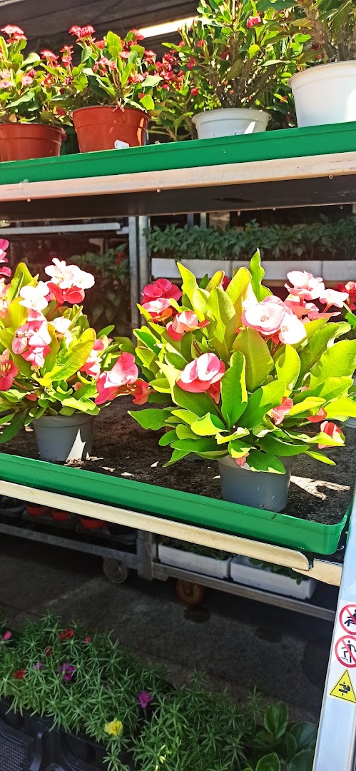 Da Toni Agricoltura
