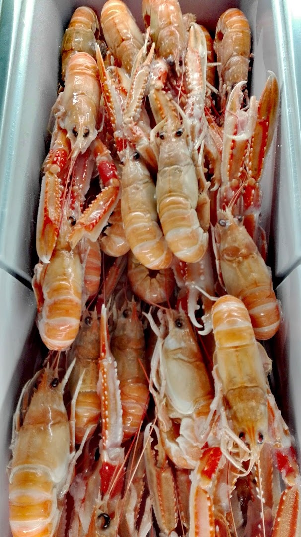 D'AMAR Fish&More surgelati