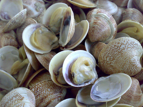 D'AMAR Fish&More surgelati